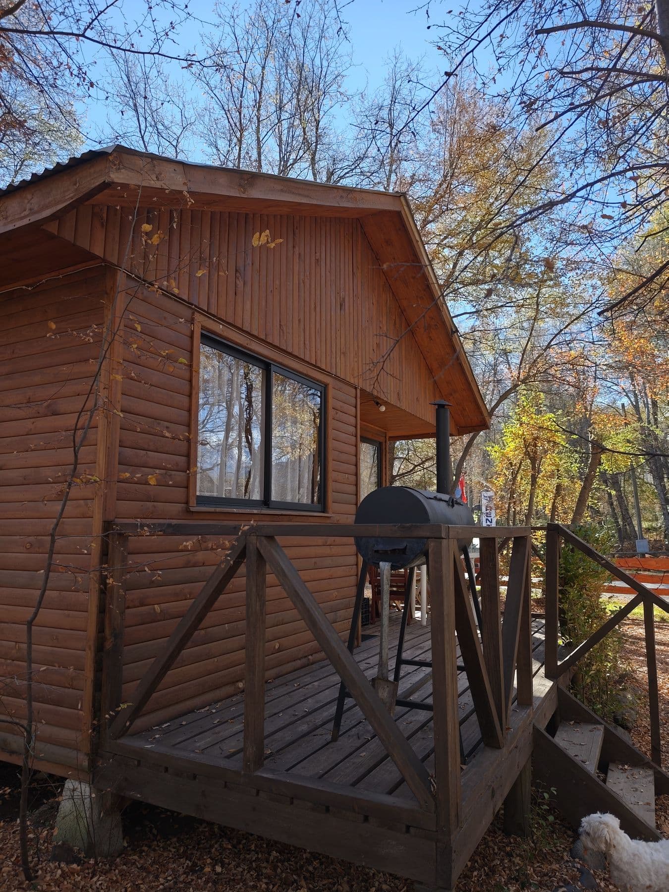 Cabaña Bruma 7